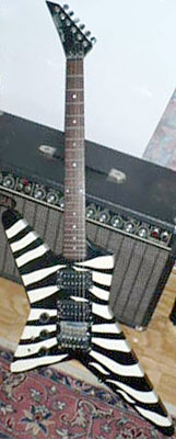 Hohner Professional SR Heavy lefty
