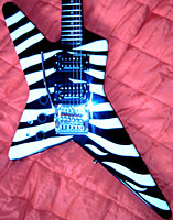 Hohner Professional SR Heavy lefty